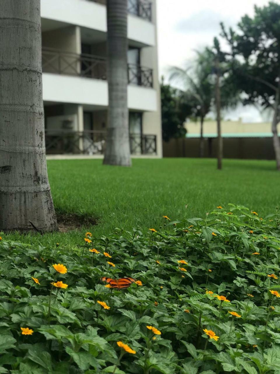 Beach Place Resort Residence 알퀴라즈 외부 사진
